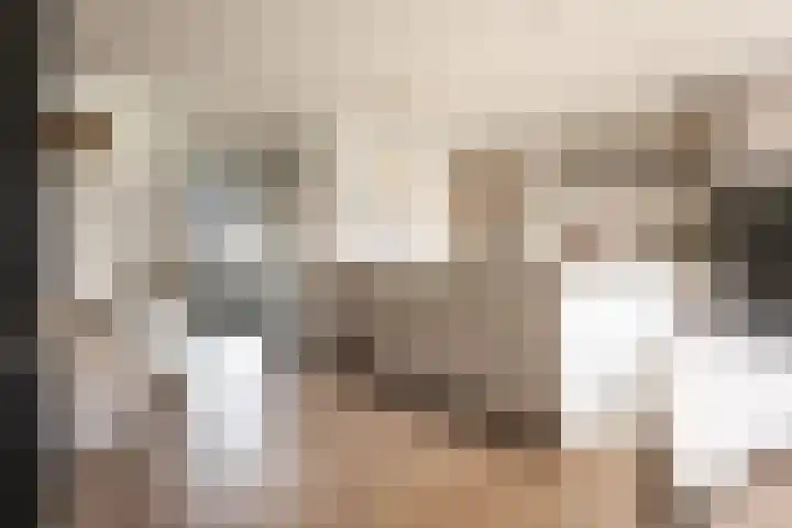 Baanbergenweg 42 h Huizen thumbnail 9