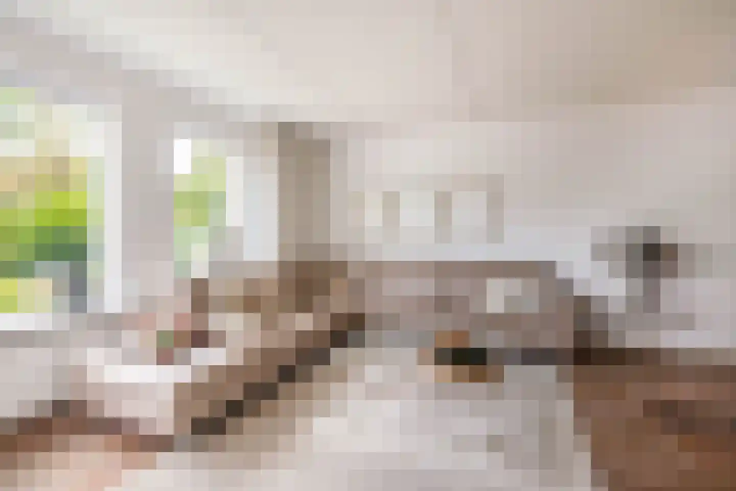 Baander 4 Ter Apel thumbnail 17