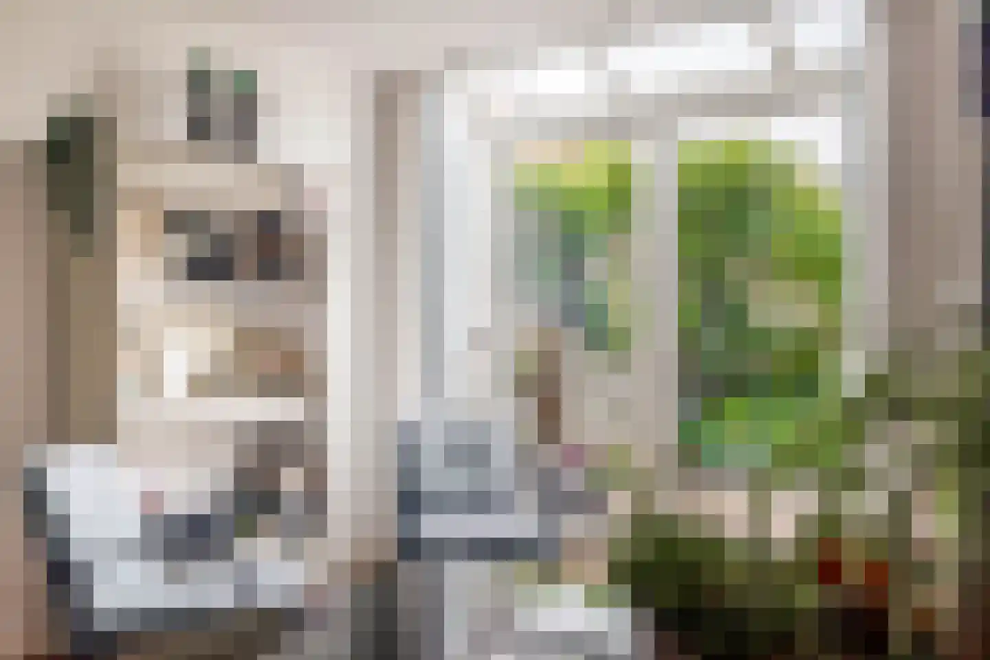 Baander 4 Ter Apel thumbnail 22