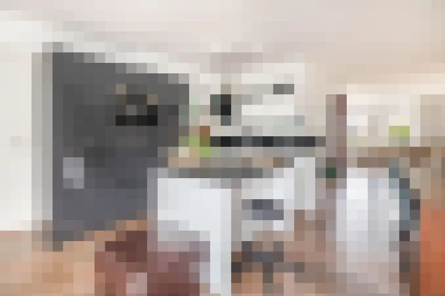 Baander 4 Ter Apel thumbnail 25
