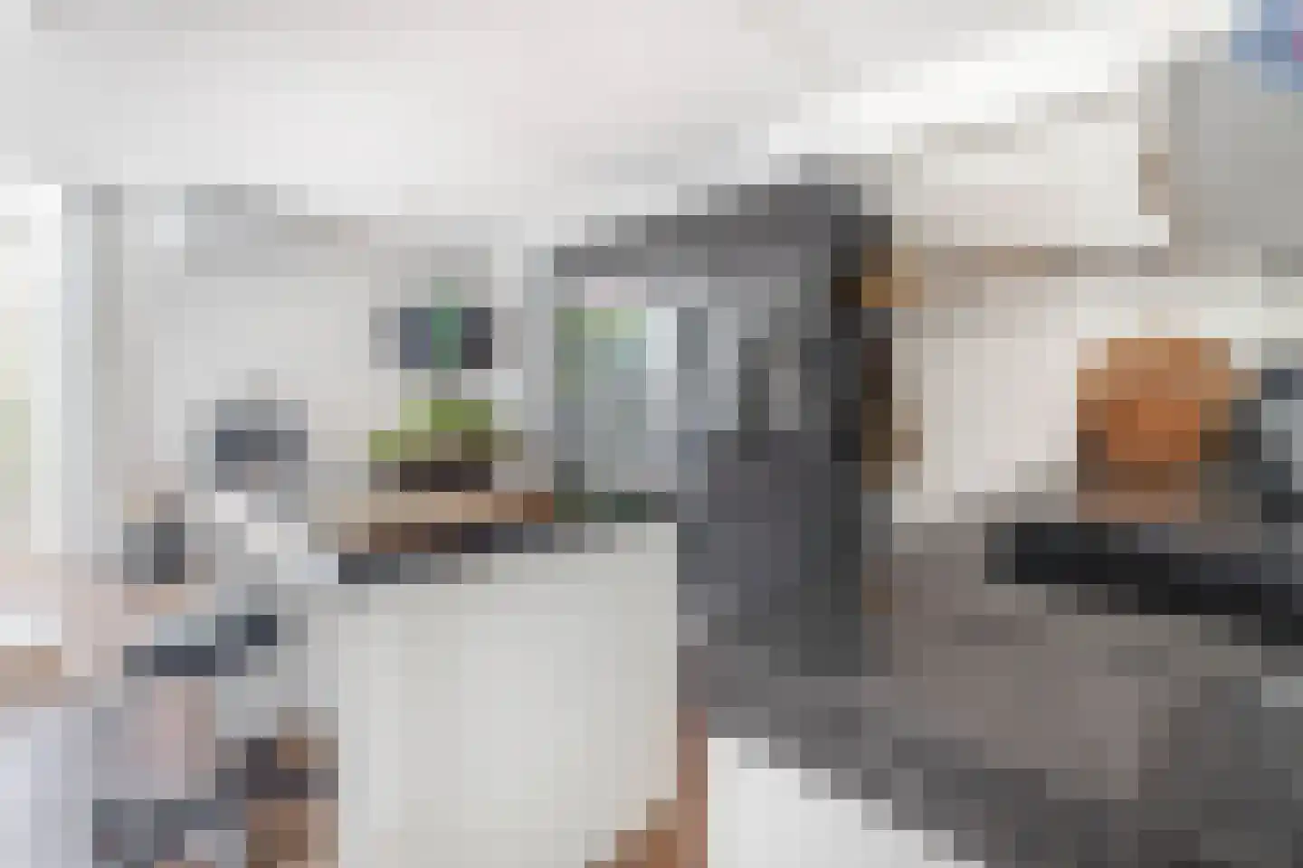 Baander 4 Ter Apel thumbnail 26