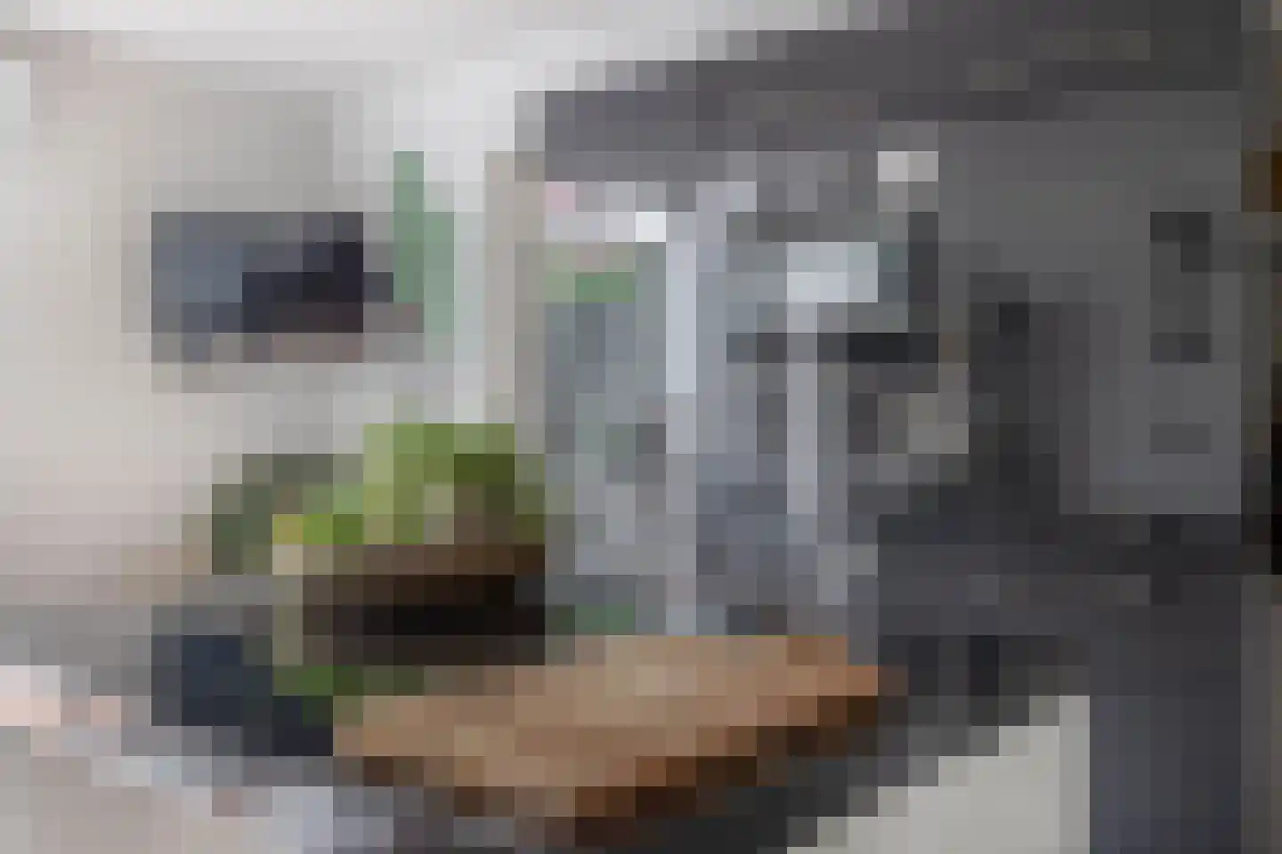 Baander 4 Ter Apel thumbnail 28
