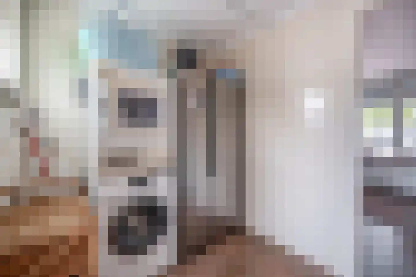 Baander 4 Ter Apel thumbnail 30