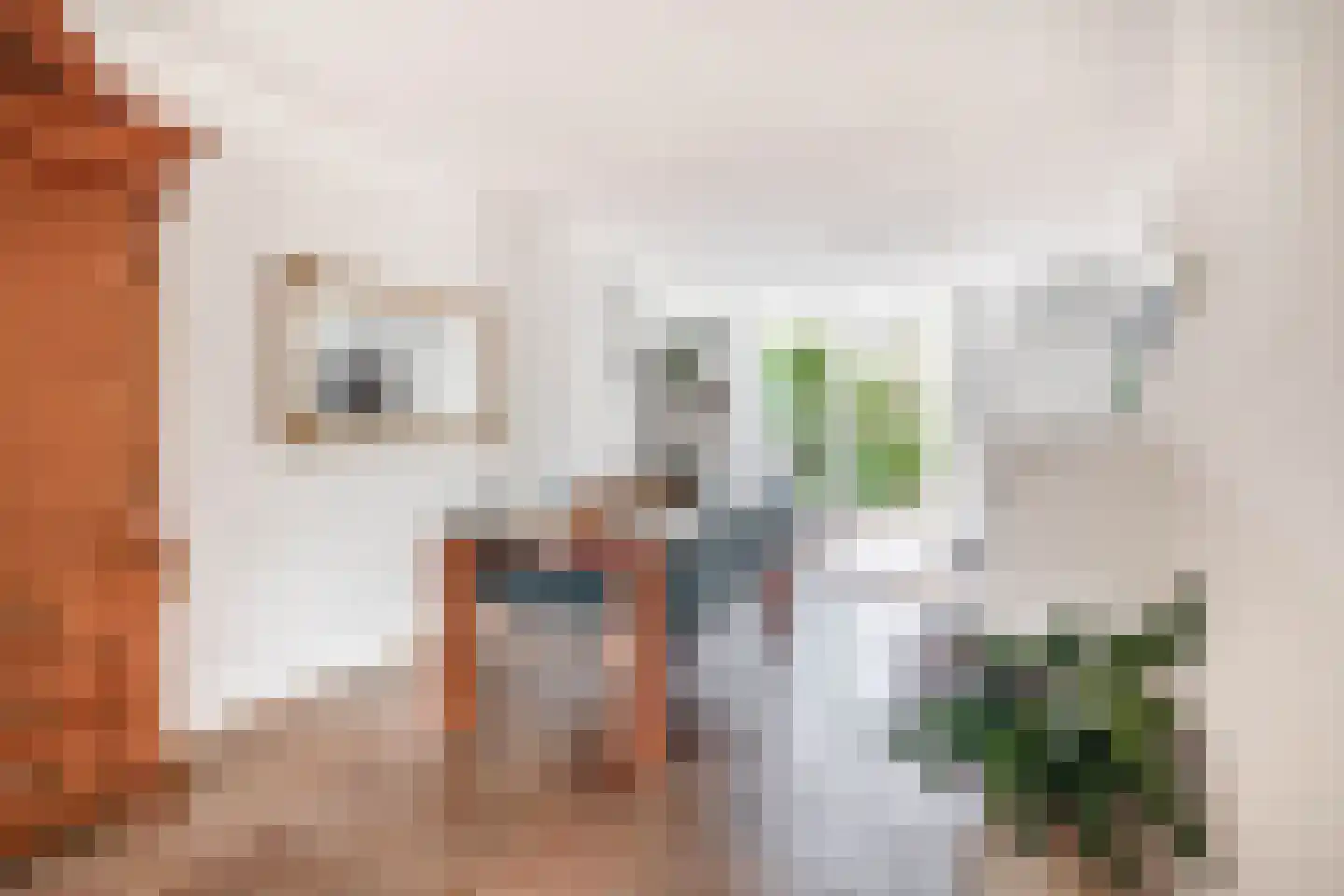 Baander 4 Ter Apel thumbnail 4