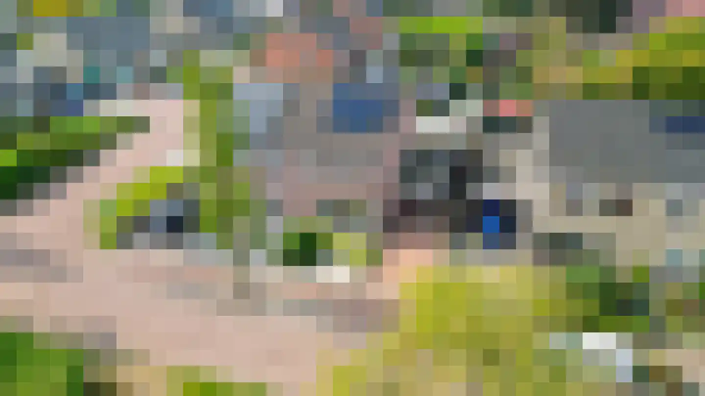 Baander 4 Ter Apel thumbnail 45