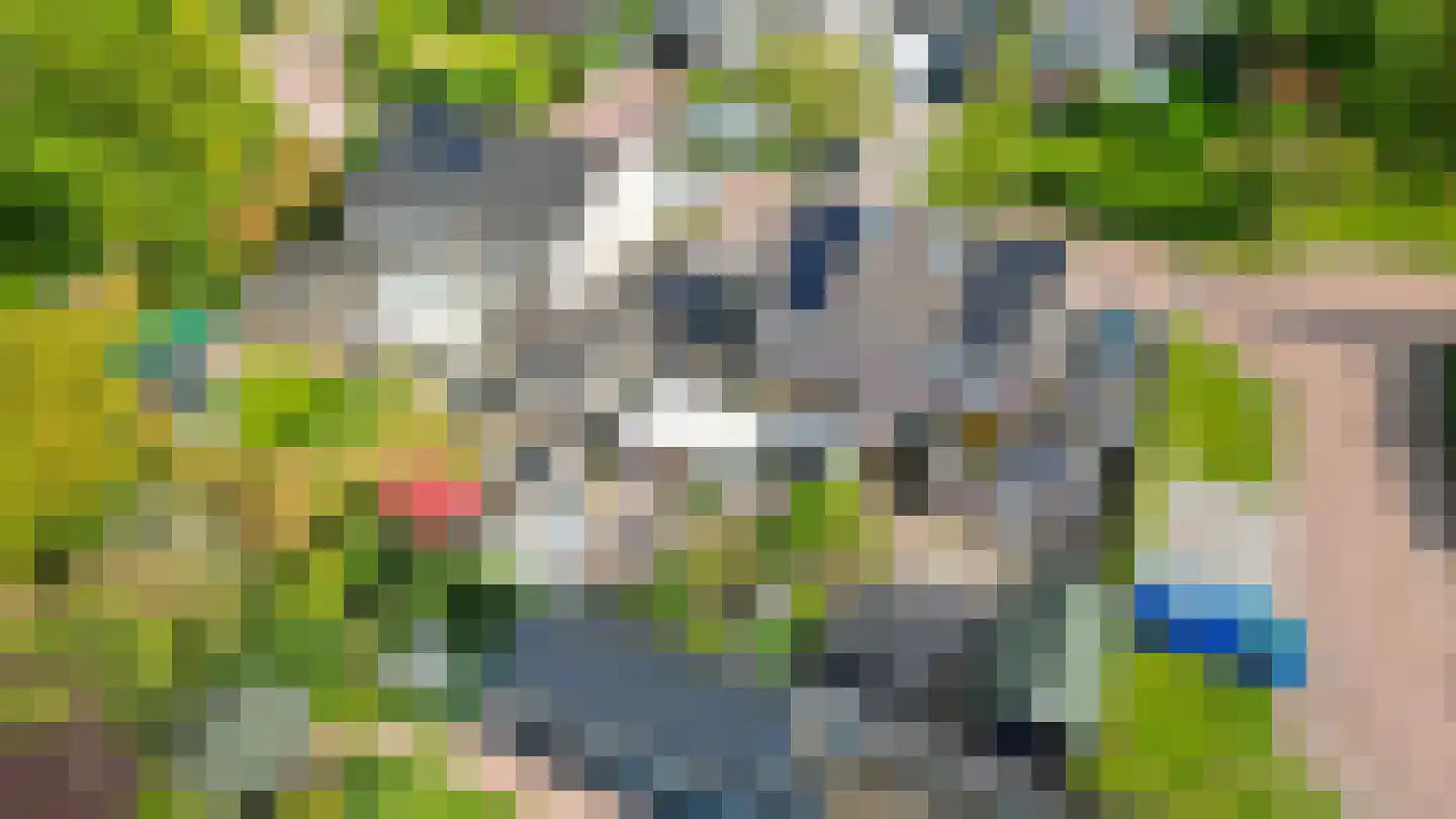 Baander 4 Ter Apel thumbnail 47