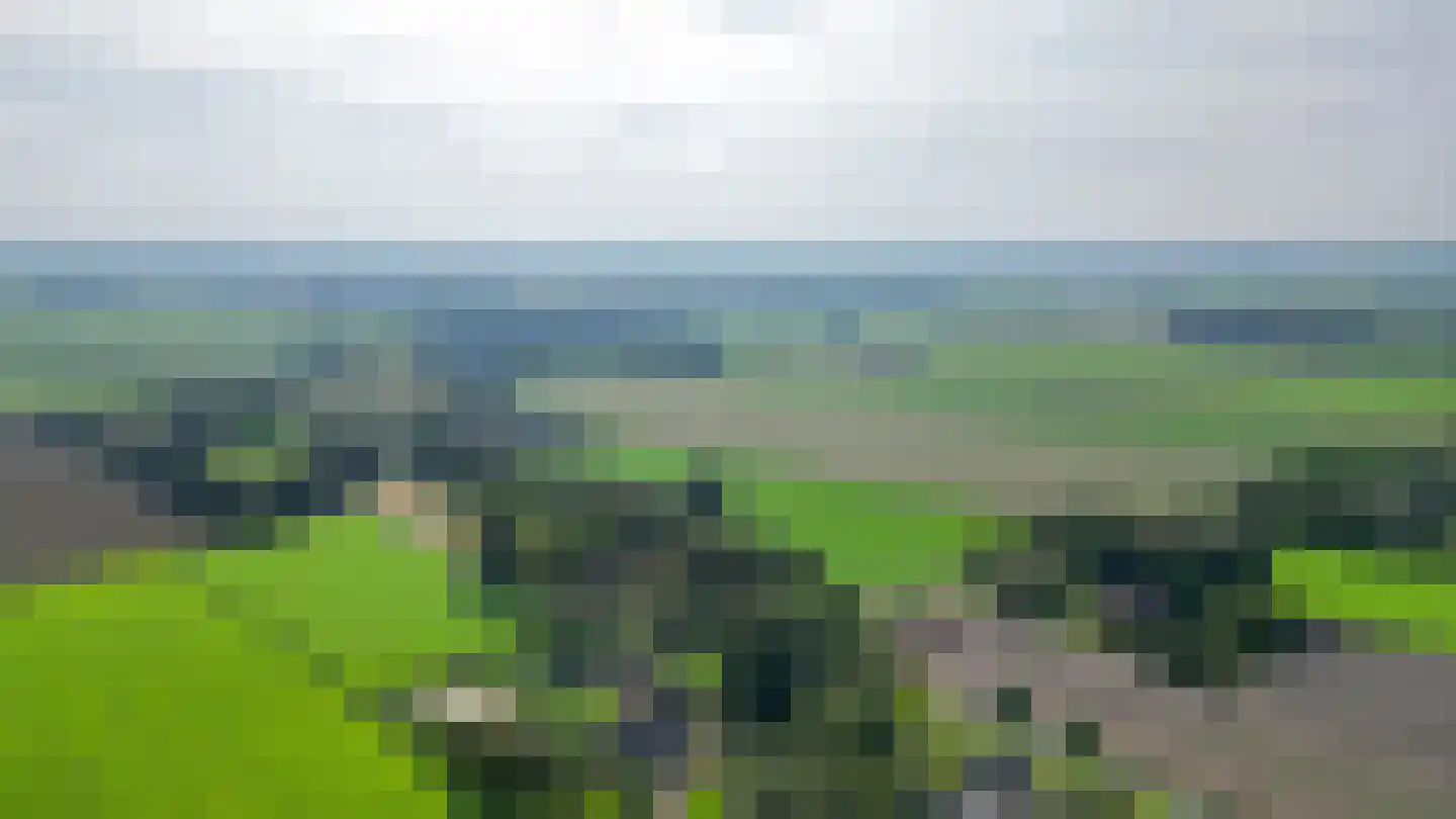 Baander 4 Ter Apel thumbnail 50