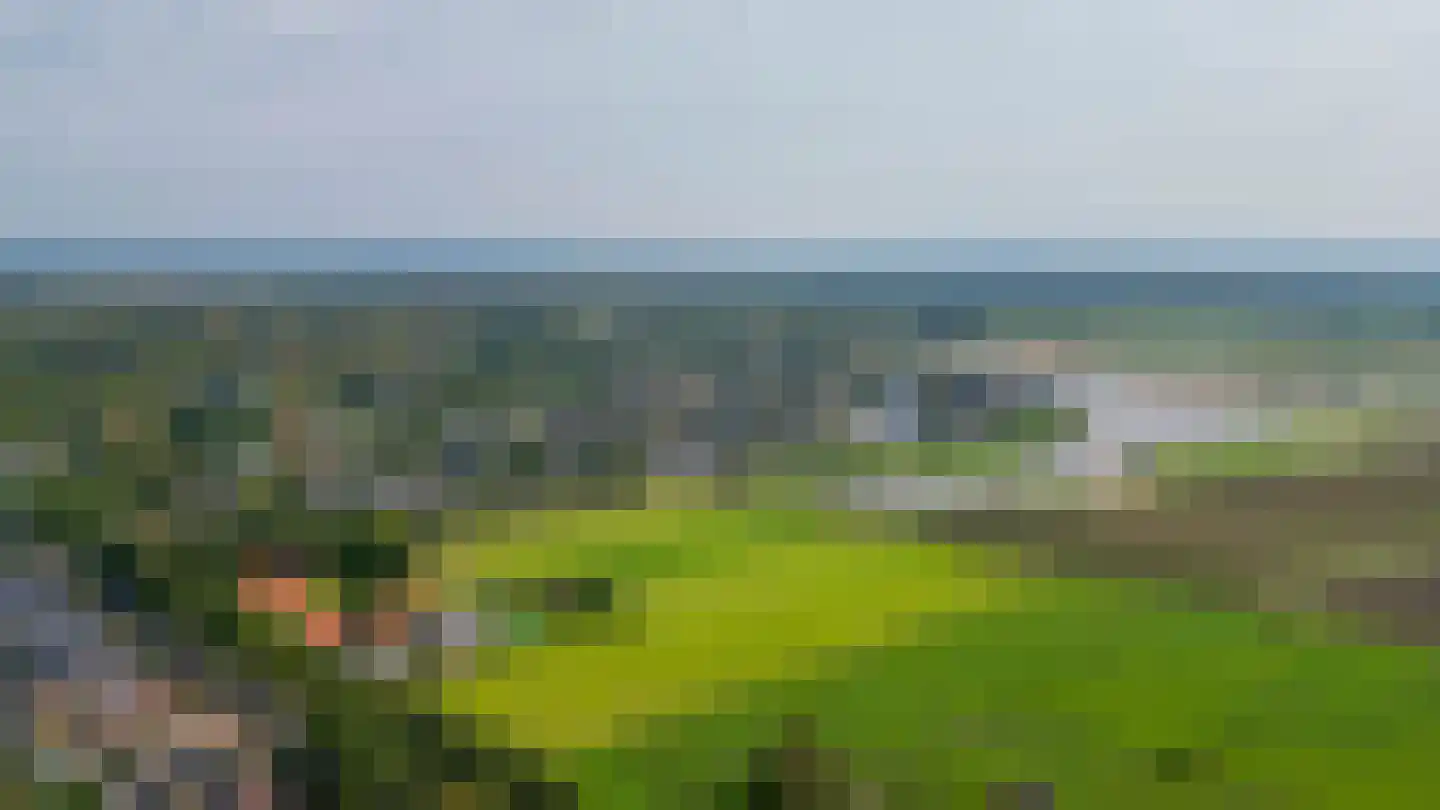 Baander 4 Ter Apel thumbnail 51