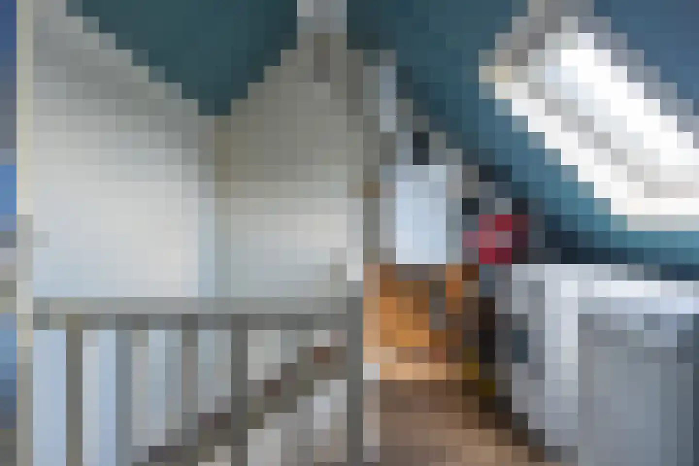 Baander 9 Ter Apel thumbnail 29