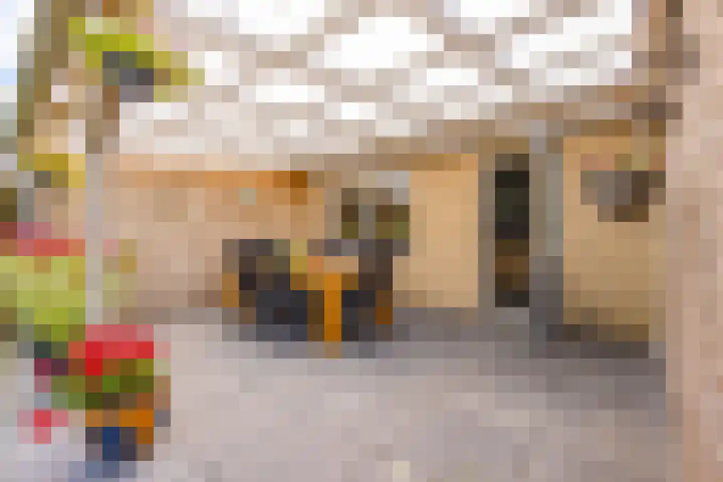 Baander 9 Ter Apel thumbnail 33