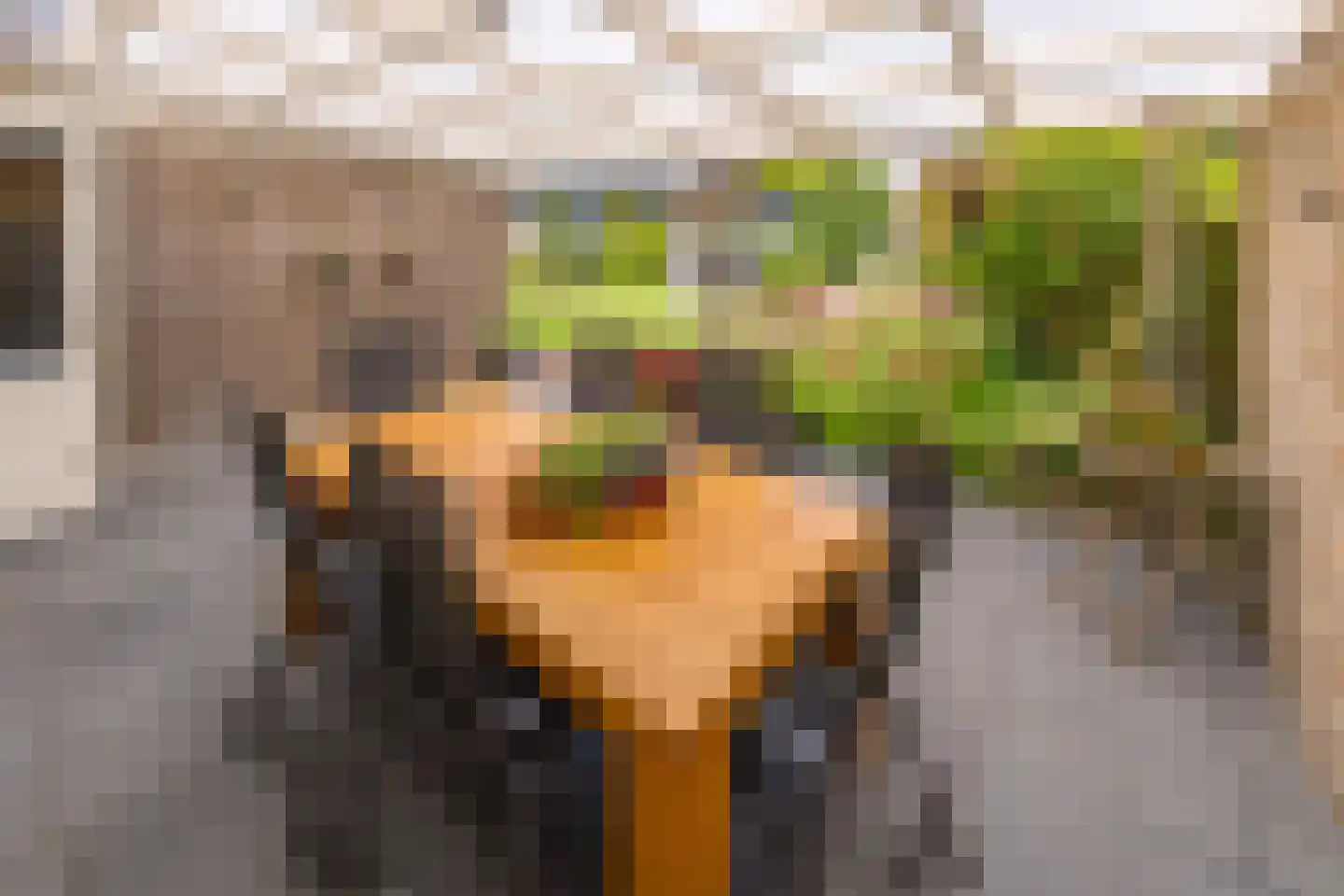 Baander 9 Ter Apel thumbnail 34