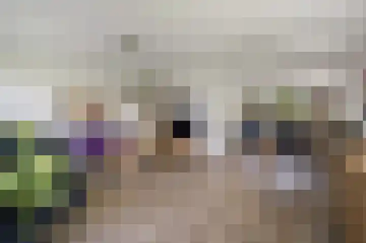 Baanderheer 1 Maasland thumbnail 10