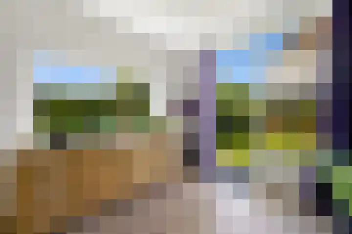 Baanderheer 1 Maasland thumbnail 11
