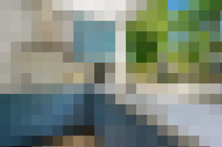 Baanderheer 1 Maasland thumbnail 14