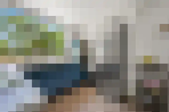 Baanderheer 1 Maasland thumbnail 15