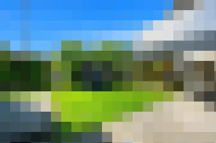 Baanderheer 1 Maasland thumbnail 16