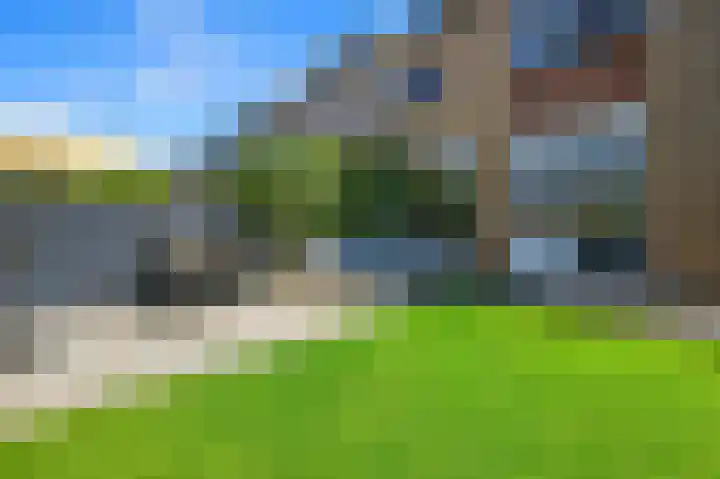 Baanderheer 1 Maasland thumbnail 17