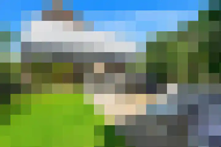 Baanderheer 1 Maasland thumbnail 18
