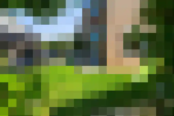 Baanderheer 1 Maasland thumbnail 19