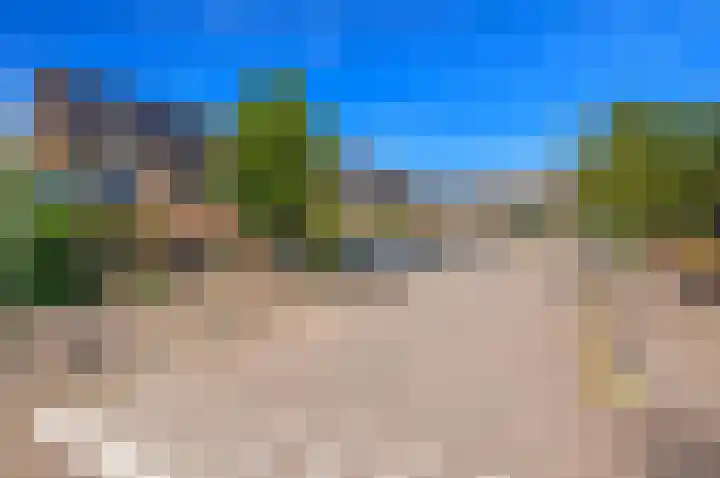 Baanderheer 1 Maasland foto 2