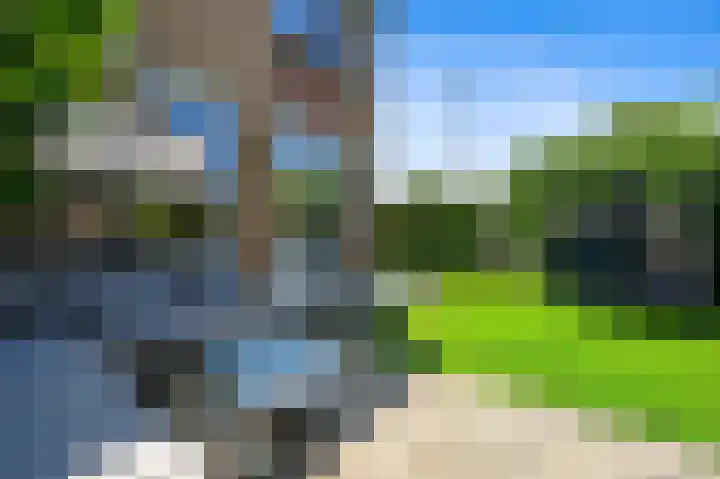 Baanderheer 1 Maasland thumbnail 20