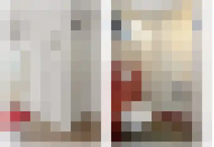Baanderheer 1 Maasland thumbnail 21