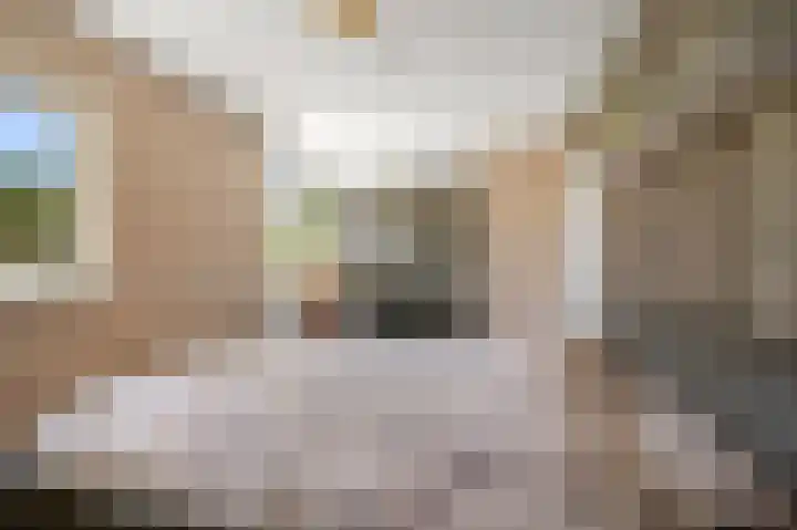 Baanderheer 1 Maasland thumbnail 24