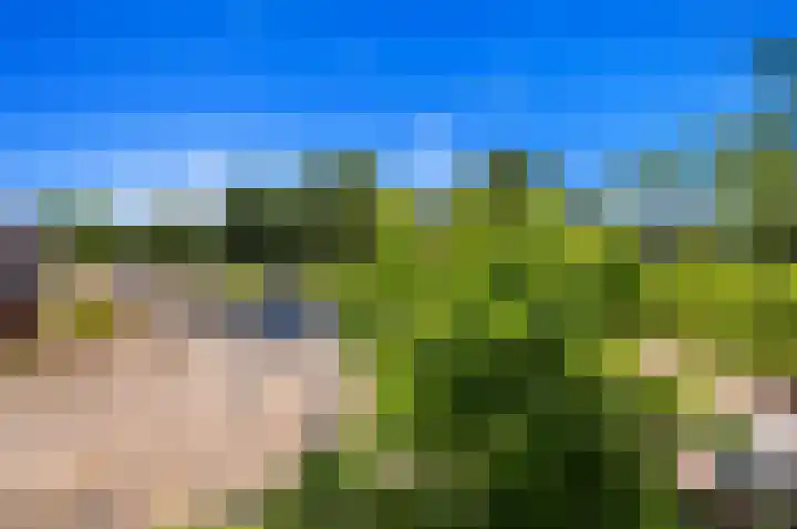 Baanderheer 1 Maasland thumbnail 25