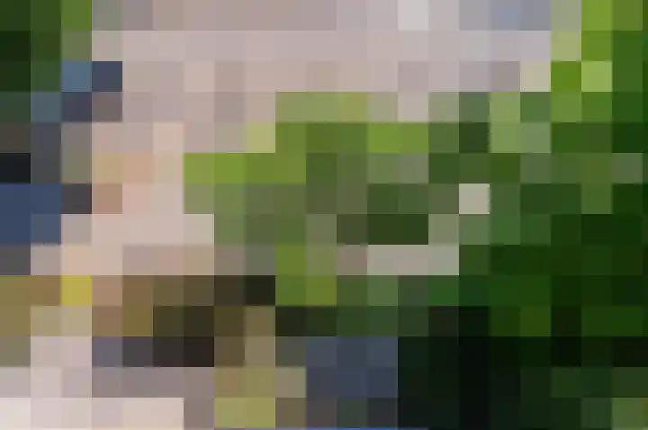 Baanderheer 1 Maasland thumbnail 26