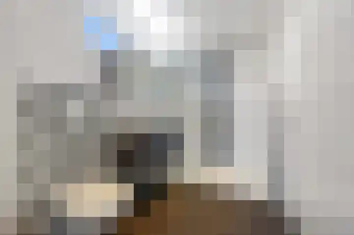 Baanderheer 1 Maasland thumbnail 27