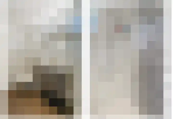 Baanderheer 1 Maasland thumbnail 28