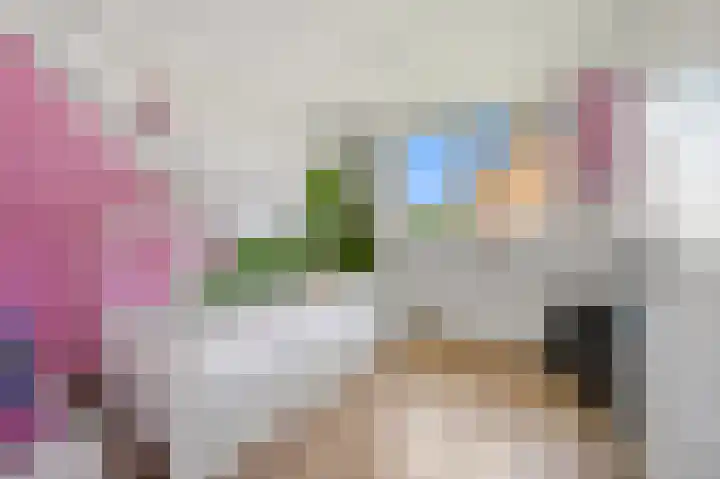 Baanderheer 1 Maasland thumbnail 29