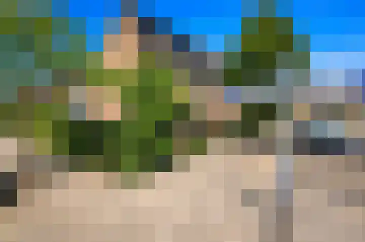 Baanderheer 1 Maasland foto 3