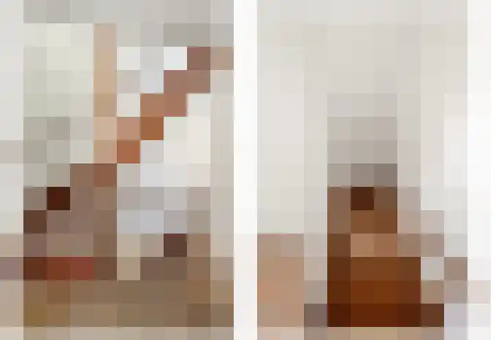 Baanderheer 1 Maasland thumbnail 33