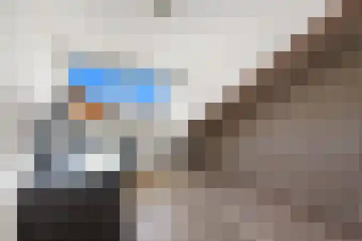 Baanderheer 1 Maasland thumbnail 35