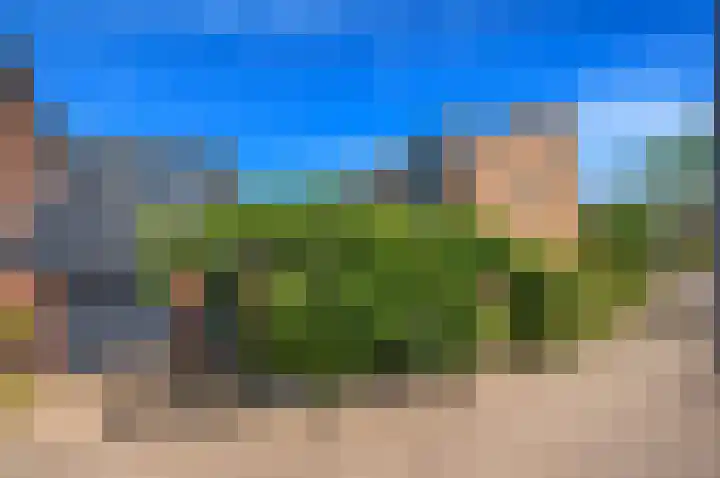 Baanderheer 1 Maasland thumbnail 38