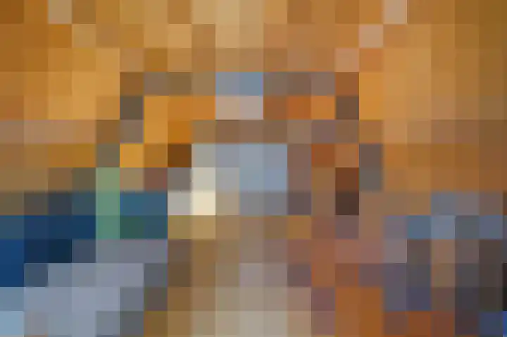 Baanderheer 1 Maasland thumbnail 41