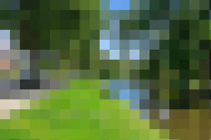 Baanderheer 1 Maasland thumbnail 42