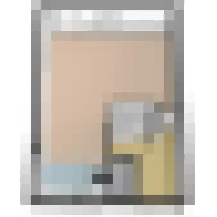 Baanderheer 1 Maasland thumbnail 45