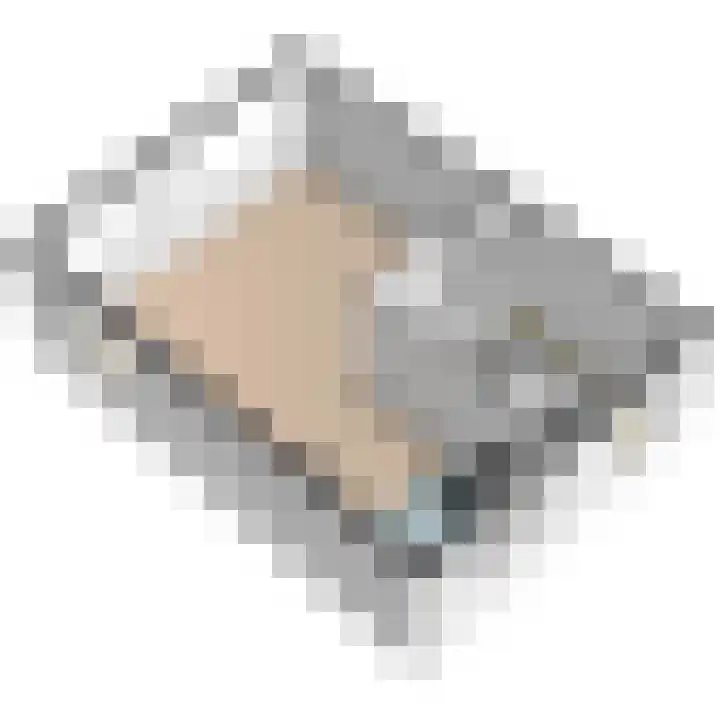 Baanderheer 1 Maasland thumbnail 46