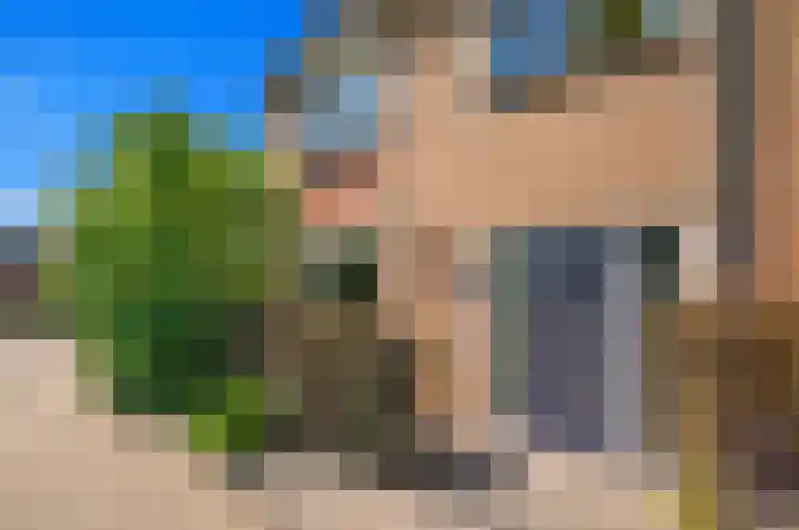 Baanderheer 1 Maasland thumbnail 5