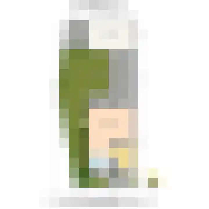 Baanderheer 1 Maasland thumbnail 55