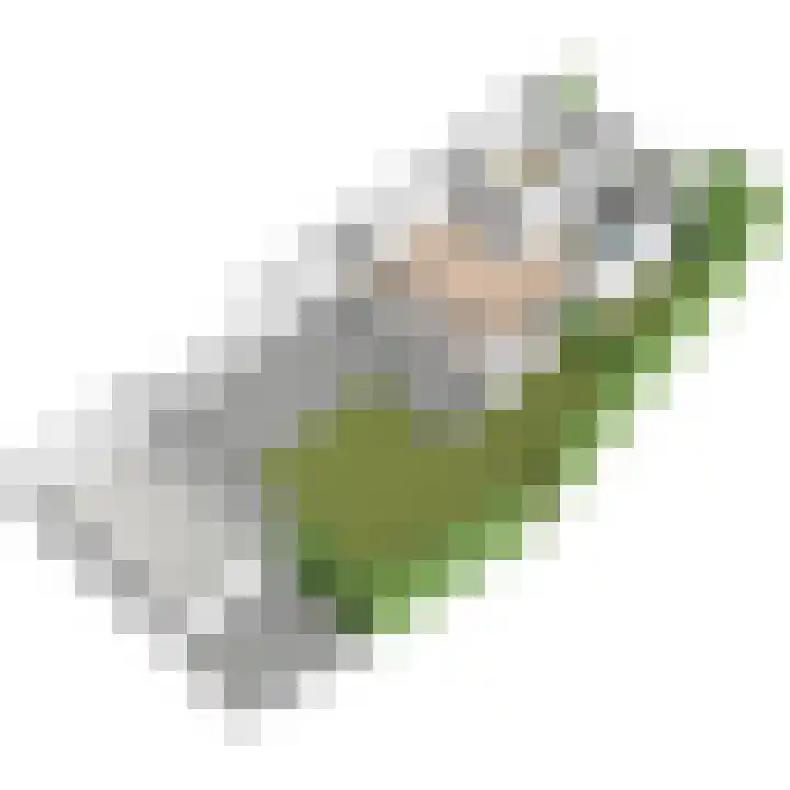 Baanderheer 1 Maasland thumbnail 56