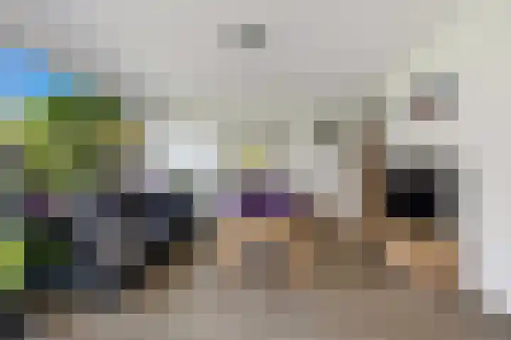 Baanderheer 1 Maasland thumbnail 8