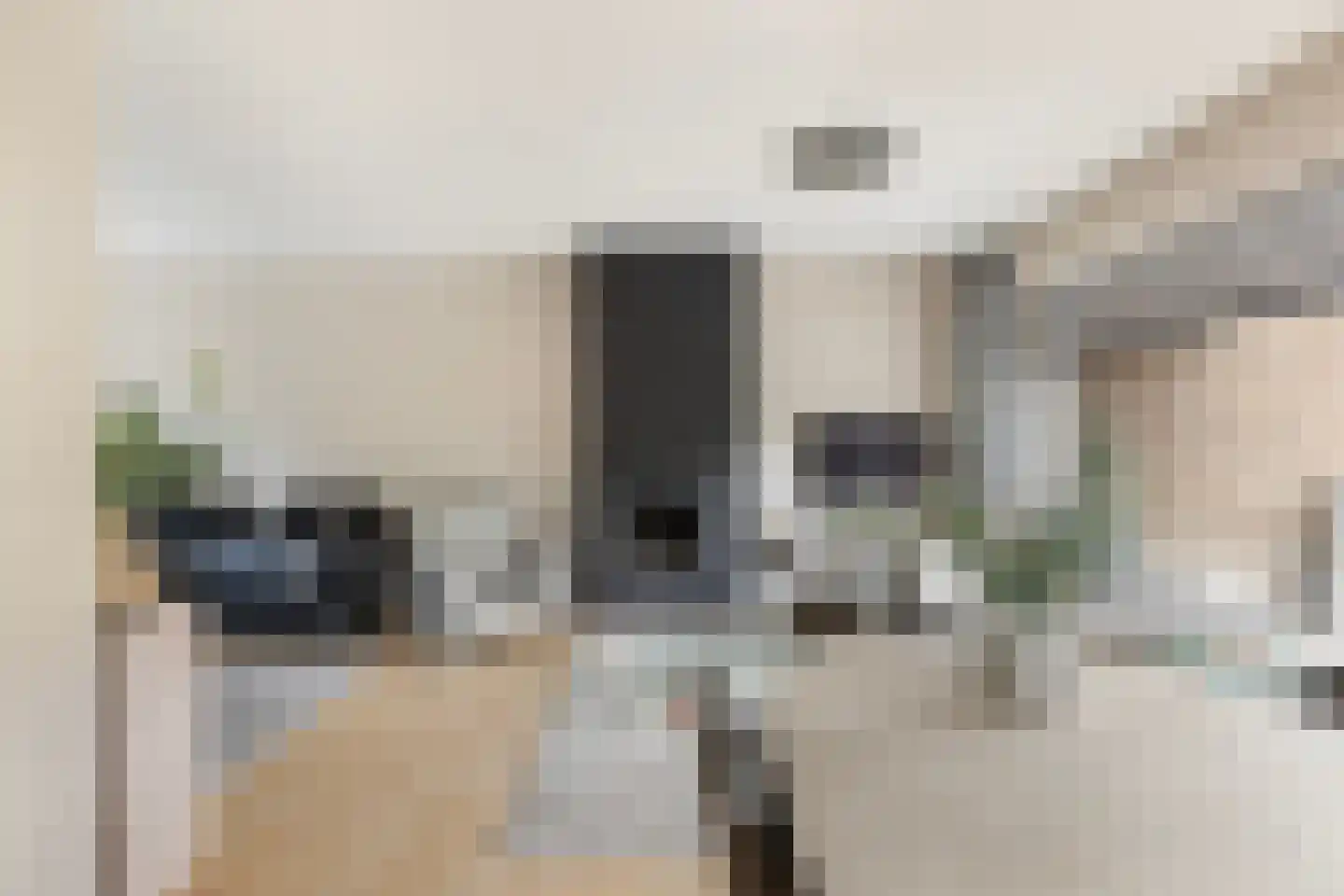 Baanderheer 12 Maasland thumbnail 12