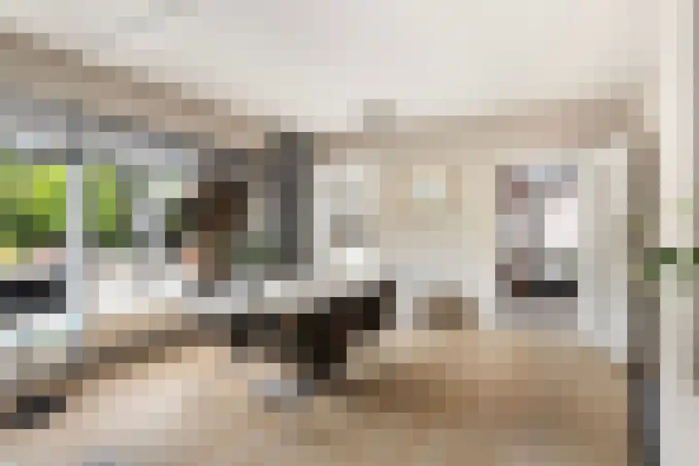 Baanderheer 12 Maasland thumbnail 14