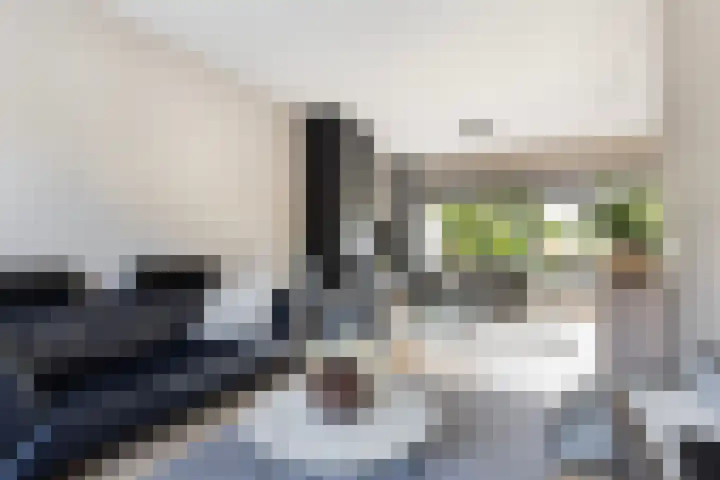 Baanderheer 12 Maasland thumbnail 17