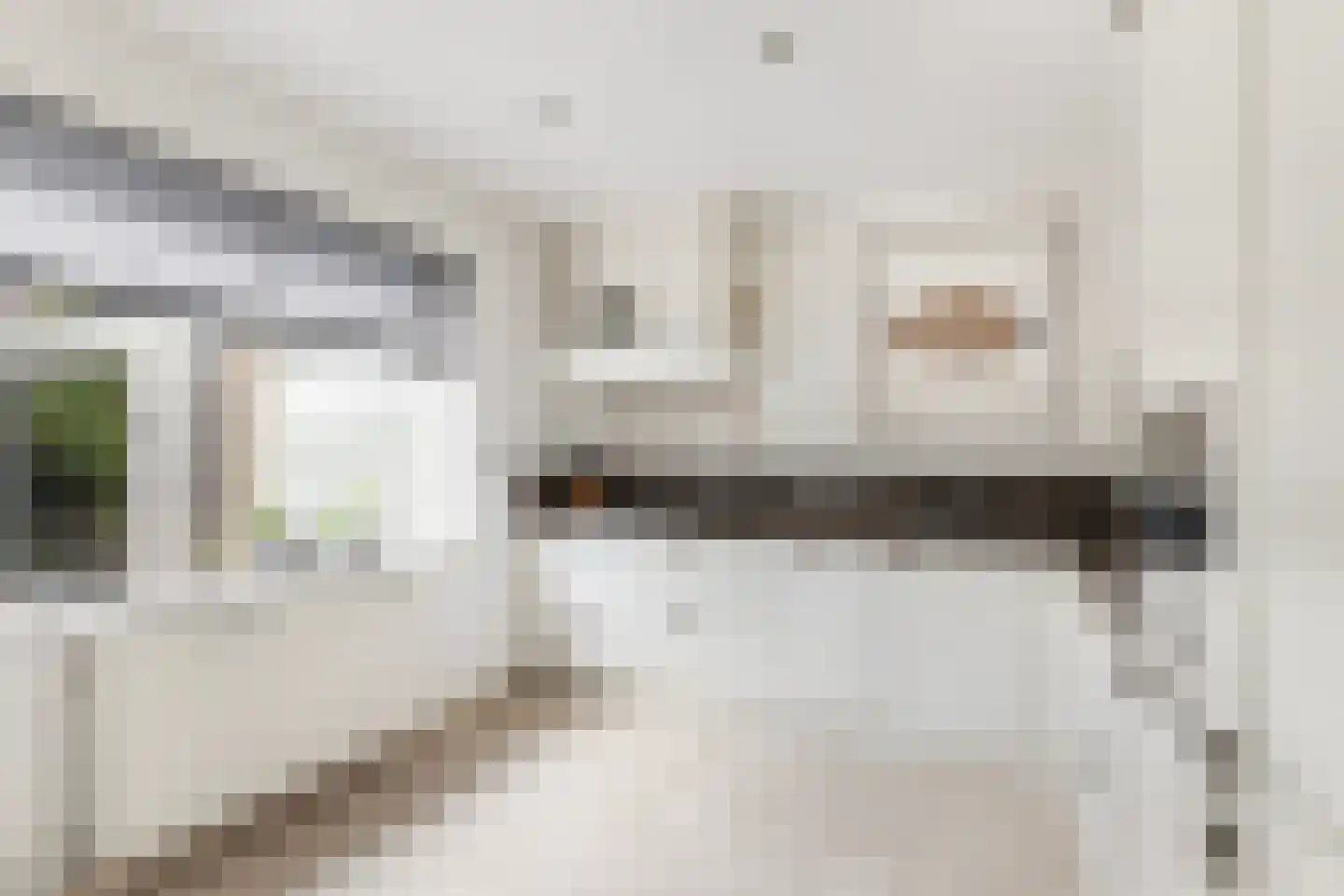 Baanderheer 12 Maasland thumbnail 20