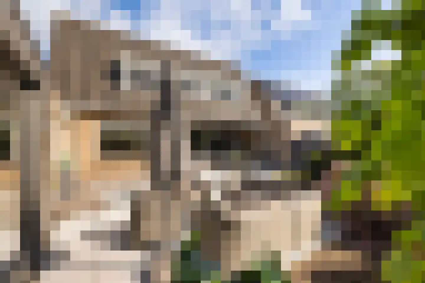 Baanderheer 12 Maasland thumbnail 24