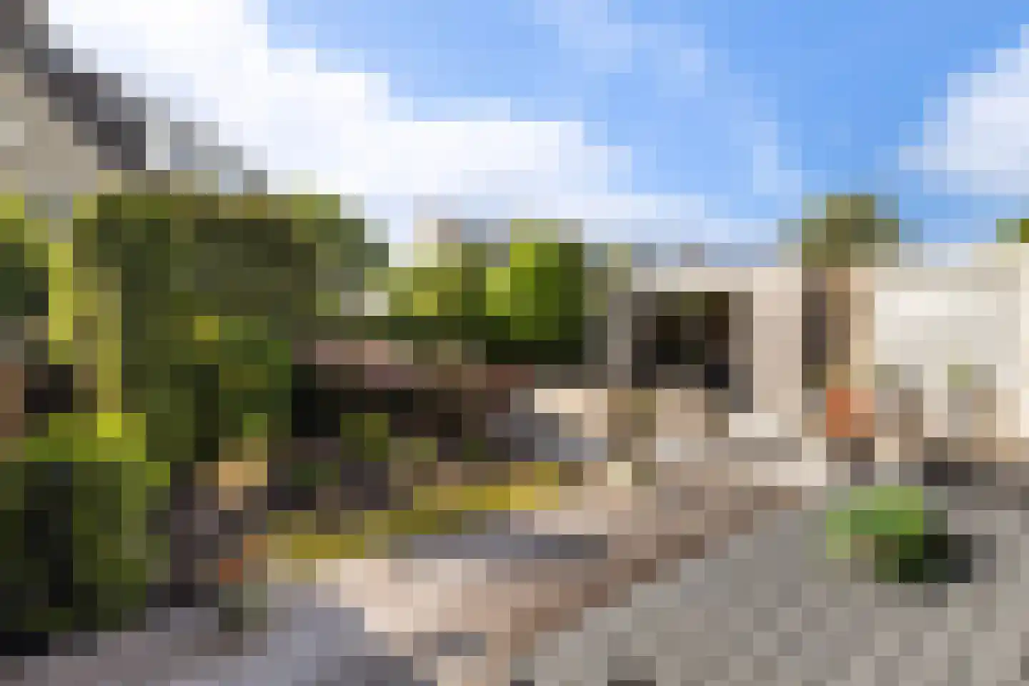 Baanderheer 12 Maasland thumbnail 25
